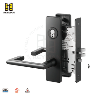Matt Black UL ANSI Grade I Fireproof SFIC Cylinder Entry Door Mortise Lock M705
