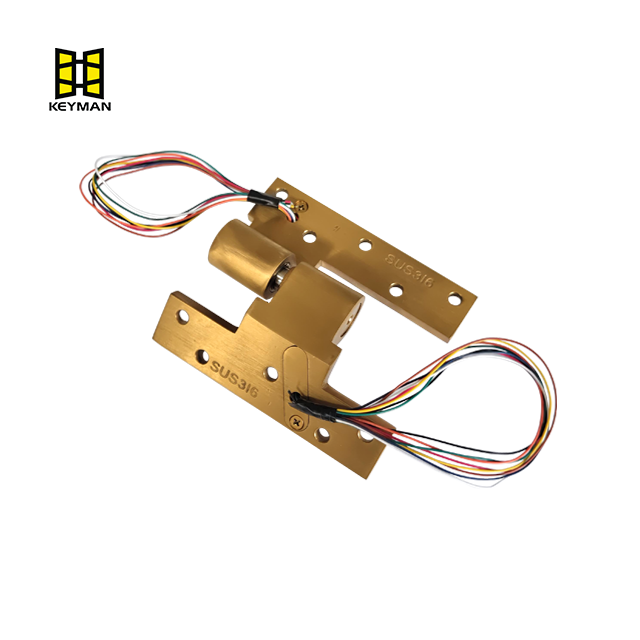 Golden Electric Pivot Hinge 180 Degree Automatic Rotation Heavy Duty Hinge