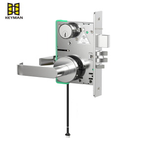 Commercial Use Electric Motor Mortise Lock Wireless Lock 